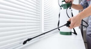 أفضل شركة مكافحة حشرات في الإمارات